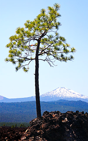 Pacific Northwest photo, Oregon and Washington, USA
