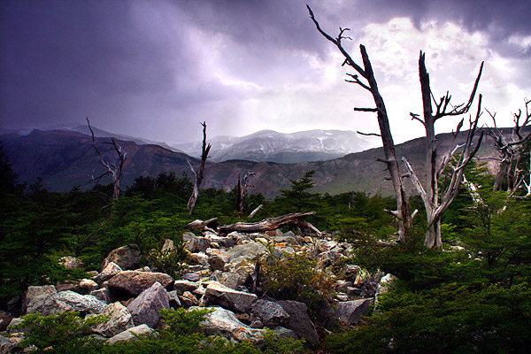 Near El Chalten, Patagonia, Argentina