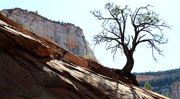 Utah photo libray image