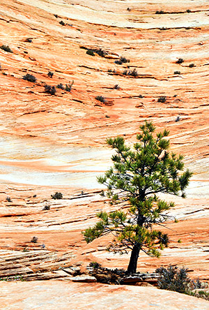 Utah photo libray image