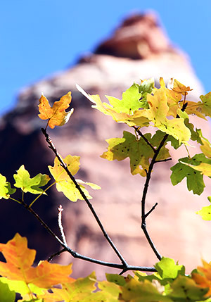Utah photo libray image