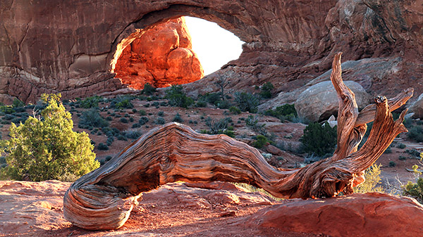 Utah photo libray image
