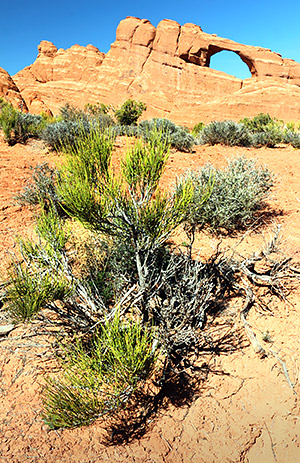 Utah photo libray image