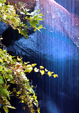 Utah photo libray image