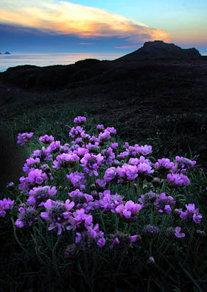 Photo library image of Wales [Cymru] UK