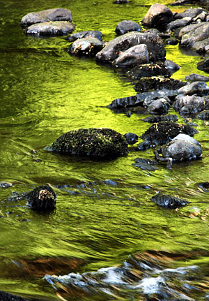 Photo library image of Wales [Cymru] UK