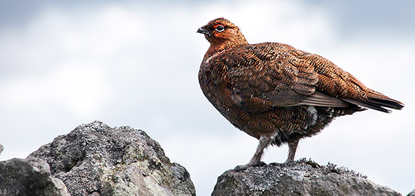 Image from a photo tour of England, UK