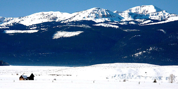 Winter photo tours of Yellowstone and Grand Teton national parks in Wyoming