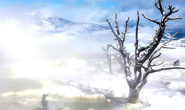 Mammoth Hot Springs:  Image copyright John T. Baker Photographer LLC