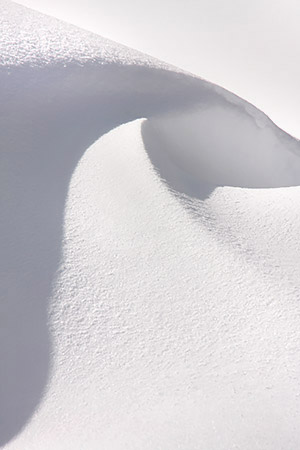 Winter photo tours of Yellowstone and Grand Teton national parks in Wyoming