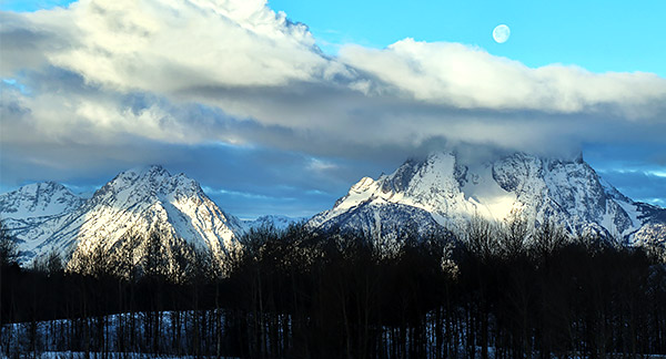 Winter photo tours of Yellowstone and Grand Teton national parks in Wyoming