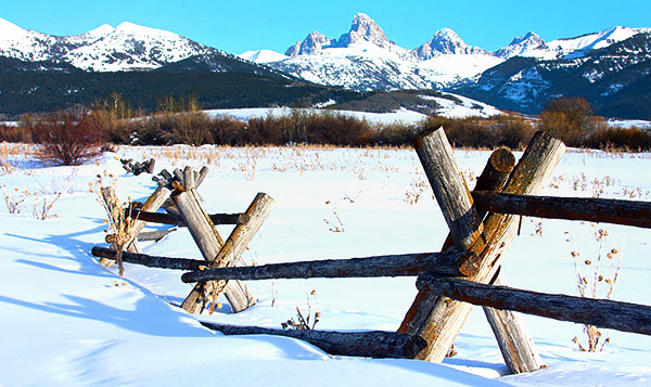 Winter photo tours of Yellowstone and Grand Teton national parks in Wyoming