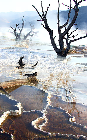 Photo tour image of Yellowstone and Grand Teton national parks, Wyoming