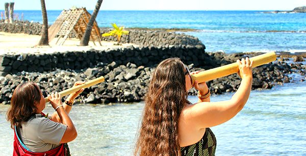 Hawaii's Big Island photo tour image