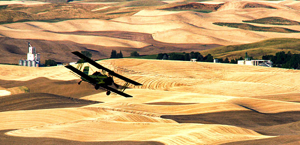 Palouse agricultural image, grain harvest, Idaho and Washington
