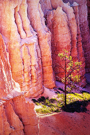 Utah photo libray image