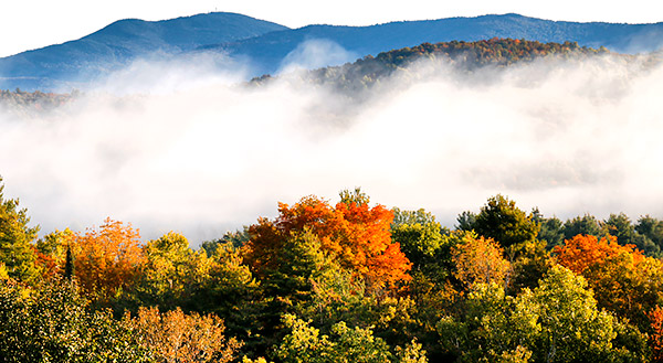 Hillside color and fog, Vermont, New England