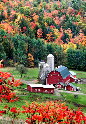 Hillside Acres Farm, Barnet, Vermont, New England